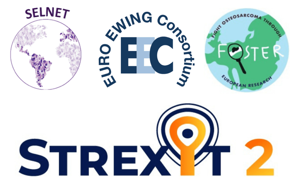 ALT TEXT: A compilation of logos for the four research projects mentioned. Shown in order are SELNET, EEC, FOSTER, and STREXIT2. 