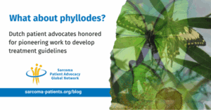 Blog covere 2025_12_Phyllodes
